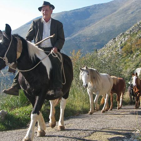 הוילה פורמיה Il Nido Dei Gemelli מראה חיצוני תמונה