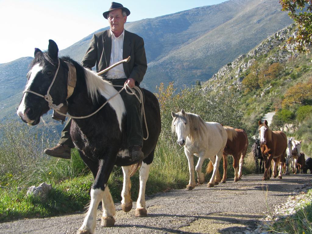 הוילה פורמיה Il Nido Dei Gemelli מראה חיצוני תמונה